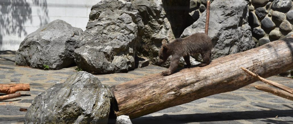 Zoo de Servion