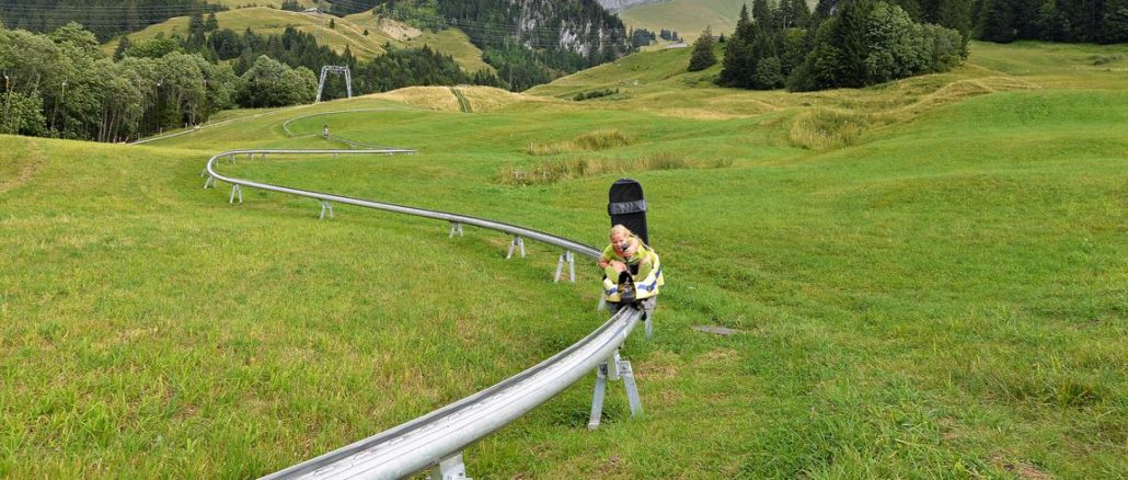 Luge d’été au Lac Noir Luge d’été au Lac Noir