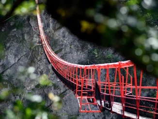 Pont Suspendu de Niouc