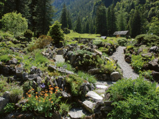 Jardin Alpin de Bex
