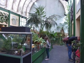 Vivarium de Meyrin