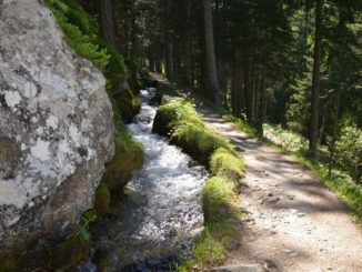 Bisse du Petit Ruisseau